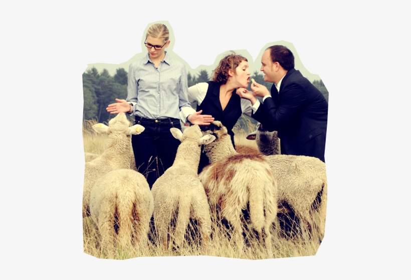 Mixxit Training - Llama, transparent png download