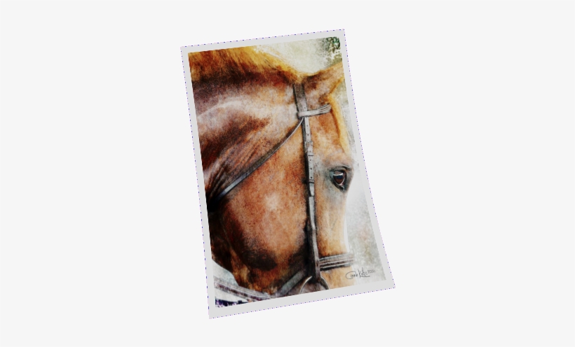 The English Sport Horse Watercolor - Sorrel, transparent png download