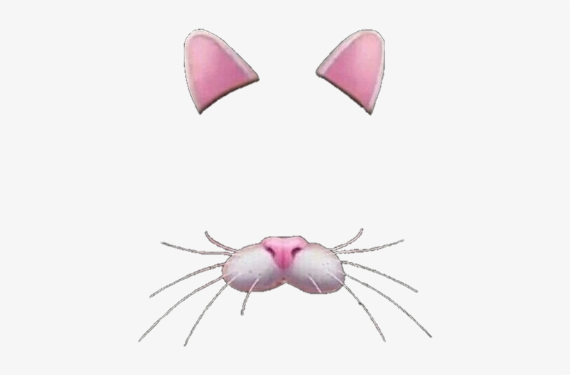 Crown Transparent Transparent Crown Tumblr - Filter Cat Png, transparent png download
