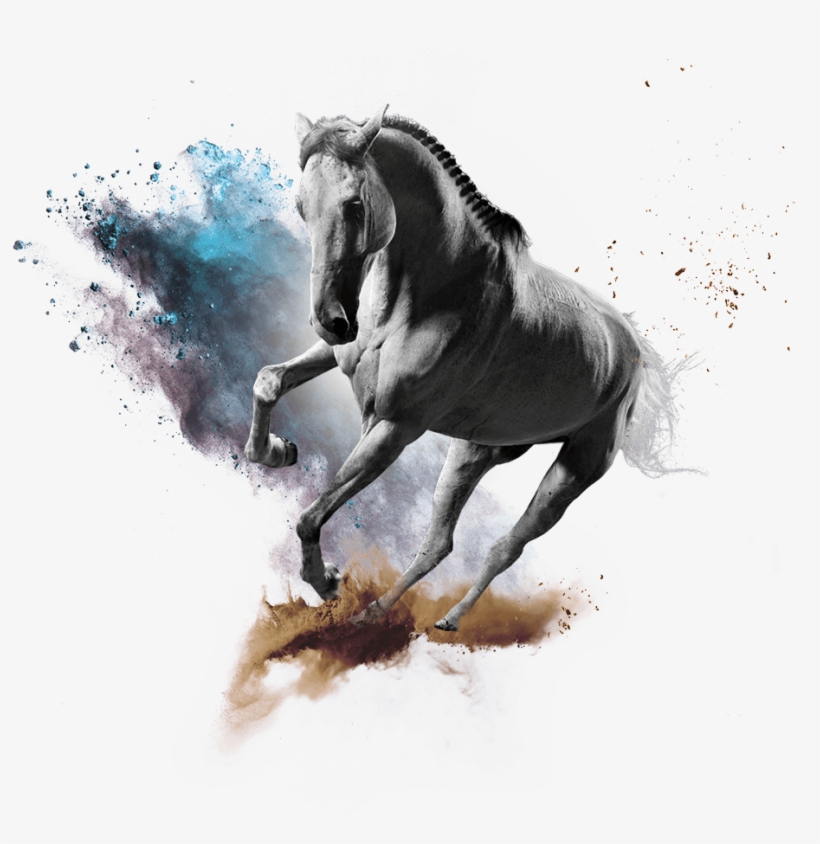 Welcome To - Horse, transparent png download