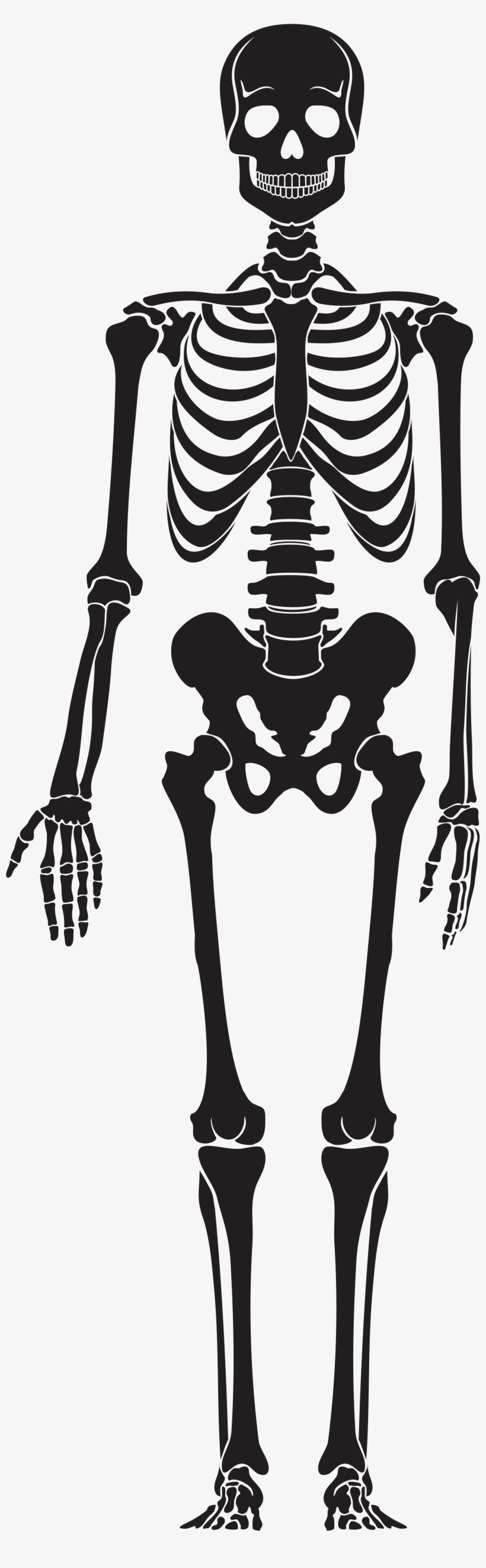 Skeleton Silhouette Transparent, transparent png download