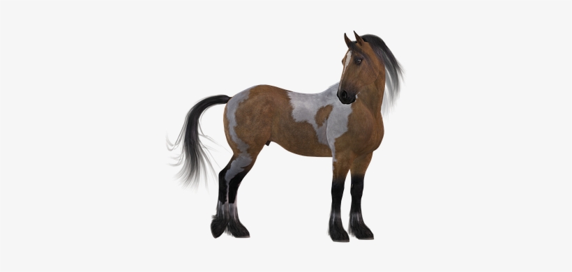 Horse Colorful Brown Mane White Animal Mou - Horse, transparent png download