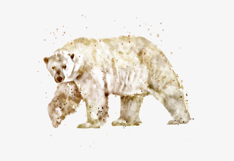 Polar Bear Watercolor Marian Voicu Transparent - Watercolor Painting, transparent png download