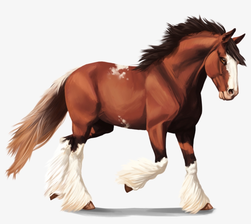 Clydesdale Horse By Memuii-d8ml2qh - Clydesdale Png, transparent png download