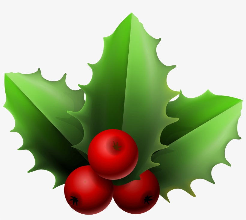 Christmas Mistletoe Cliparts - Mistletoe Clipart Transparent PNG ...