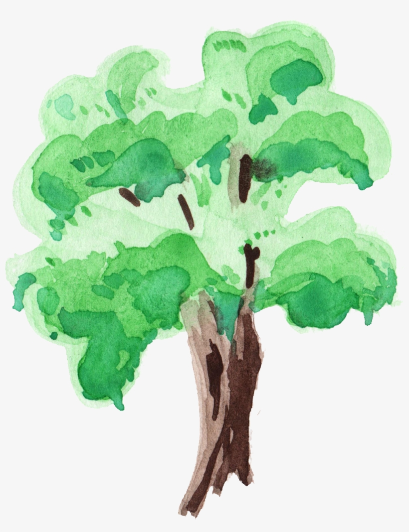 Clip Black And White Stock Tree Png Onlygfx Com Free - Transparent Water Color Tree, transparent png download