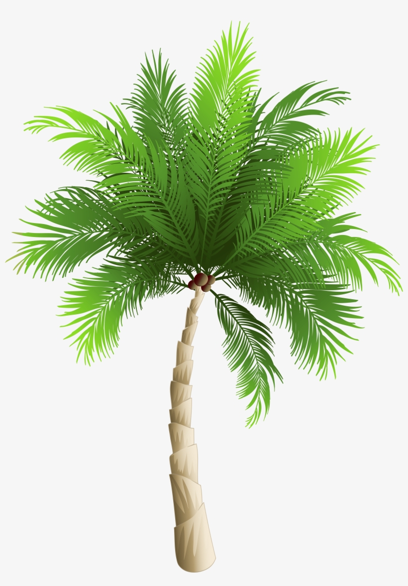 Palm Tree Png Transparent, transparent png download