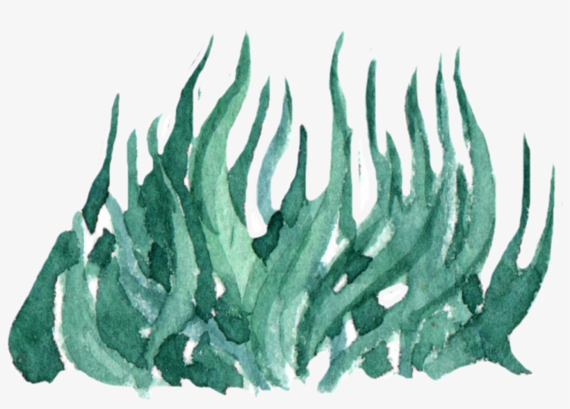 Report Abuse - Watercolor Painting, transparent png download
