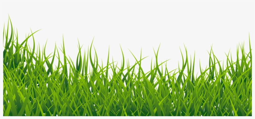Grass Image Hd Png, transparent png download
