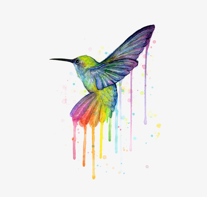 Click And Drag To Re-position The Image, If Desired - Rainbow Hummingbird, transparent png download