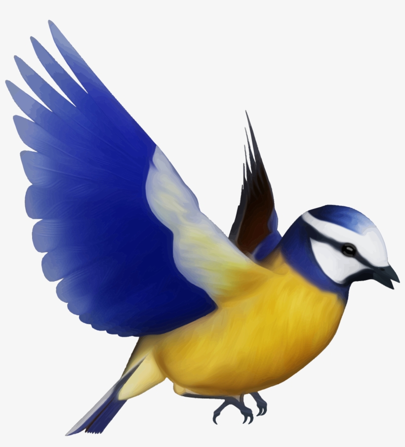 Chidiya Png, transparent png download