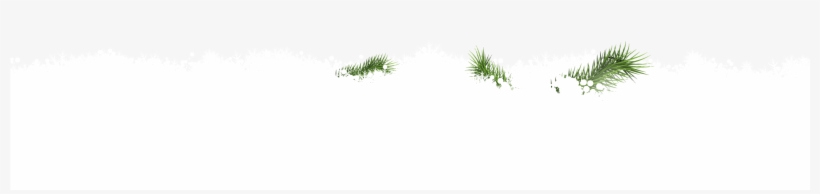 Snow - Painting, transparent png download