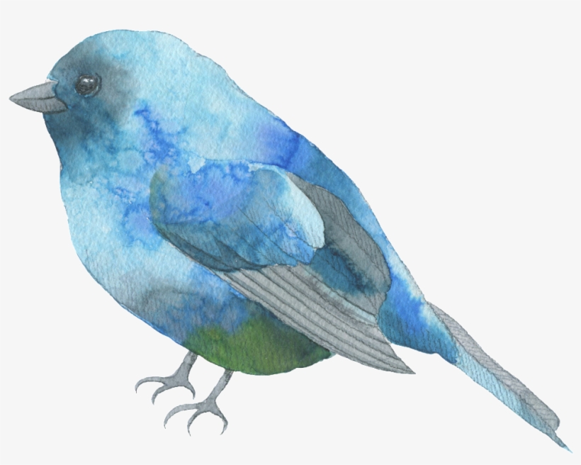 Blue Feather Bird Watercolor Transparent Decorative - Blue Bird Journal [book], transparent png download