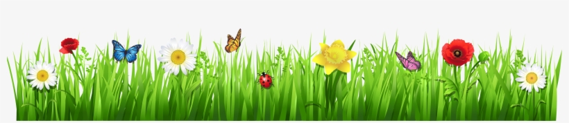 28 Collection Of Garden Clipart Transparent, transparent png download