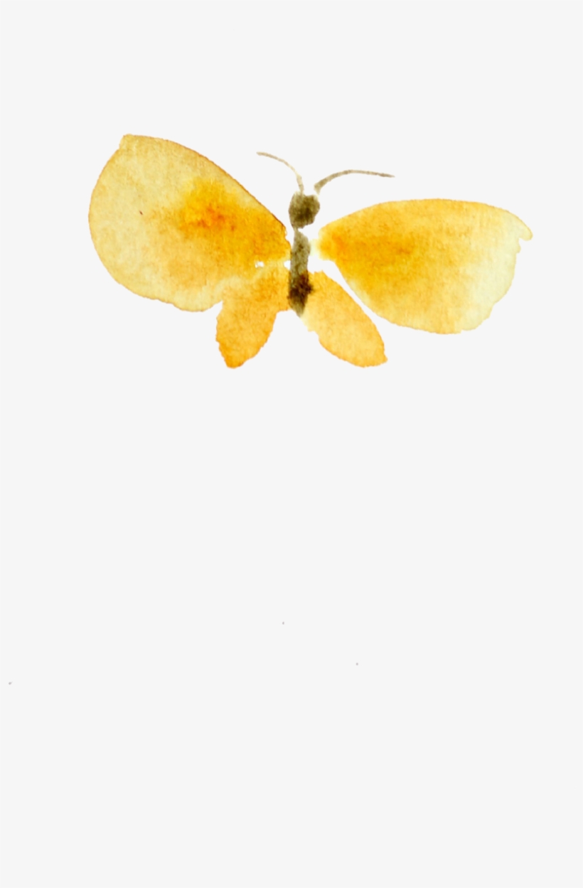 Watercolor Butterflies - Gonepteryx Rhamni, transparent png download