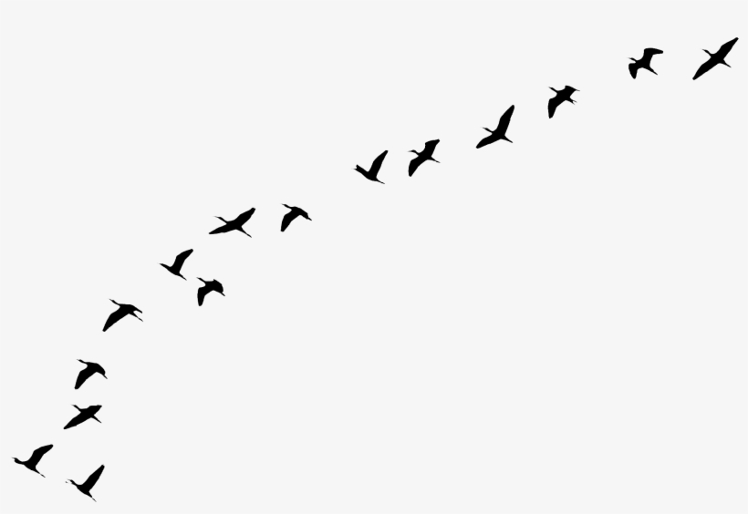 Download - Game Of Thrones Every Flight Begins, transparent png download