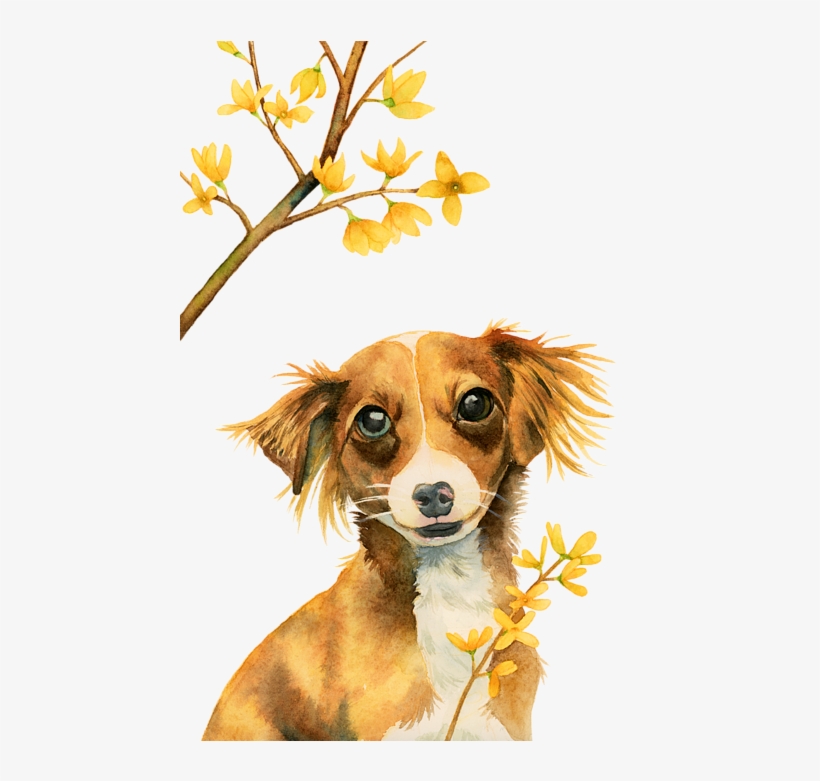 Bleed Area May Not Be Visible - Dog, transparent png download