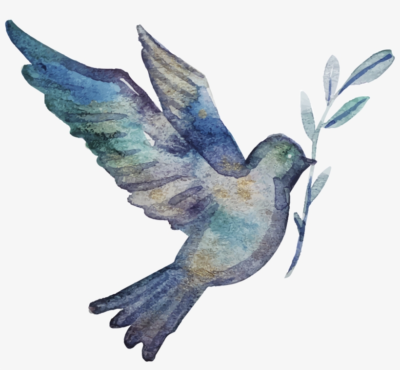 Clip Stock Communion Vector Hand Painted Bird Transprent - Watercolor Bird Transparent, transparent png download