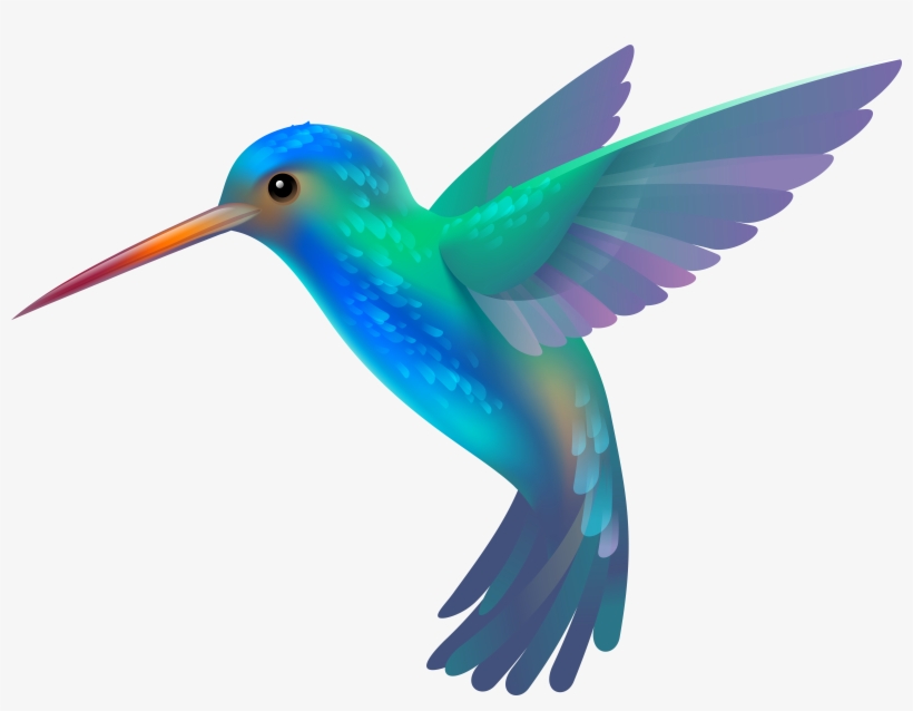 Hummingbird Clipart Picture Multi Colored - Hummingbird Clipart, transparent png download