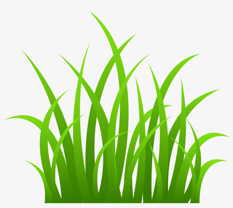 Grass Png Clipart, transparent png download