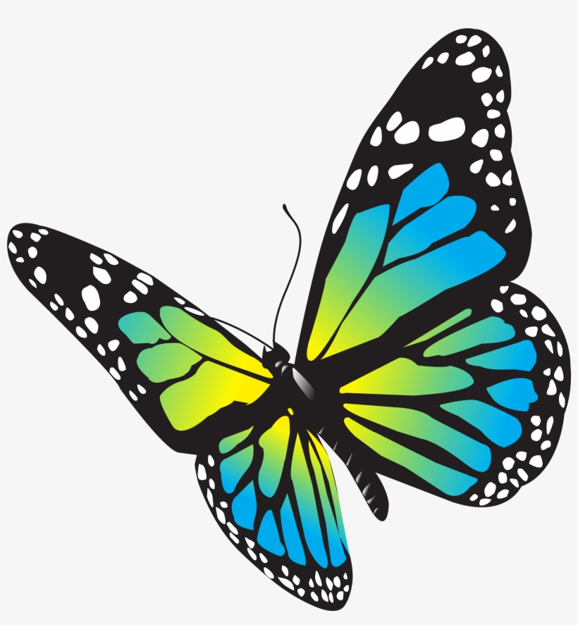 Butterfly Png, transparent png download