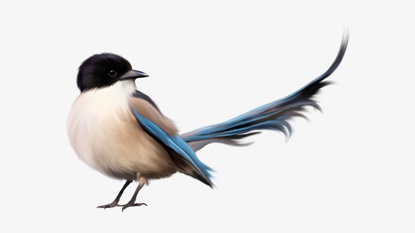 Imagenes De Un Pajaro Png, transparent png download