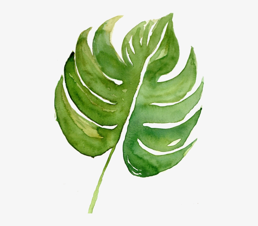 Watercolor Painting, transparent png download