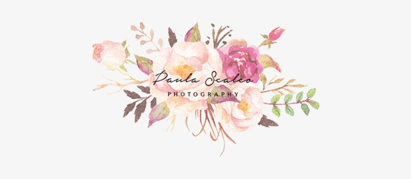 Paula Scalco Photography - Burgundy Watercolor Flowers Png, transparent png download