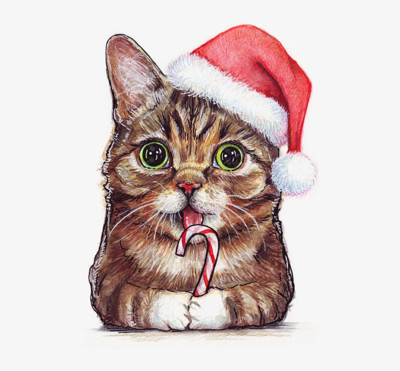 Lil Bub Cat In Santa Hat Olga, transparent png download