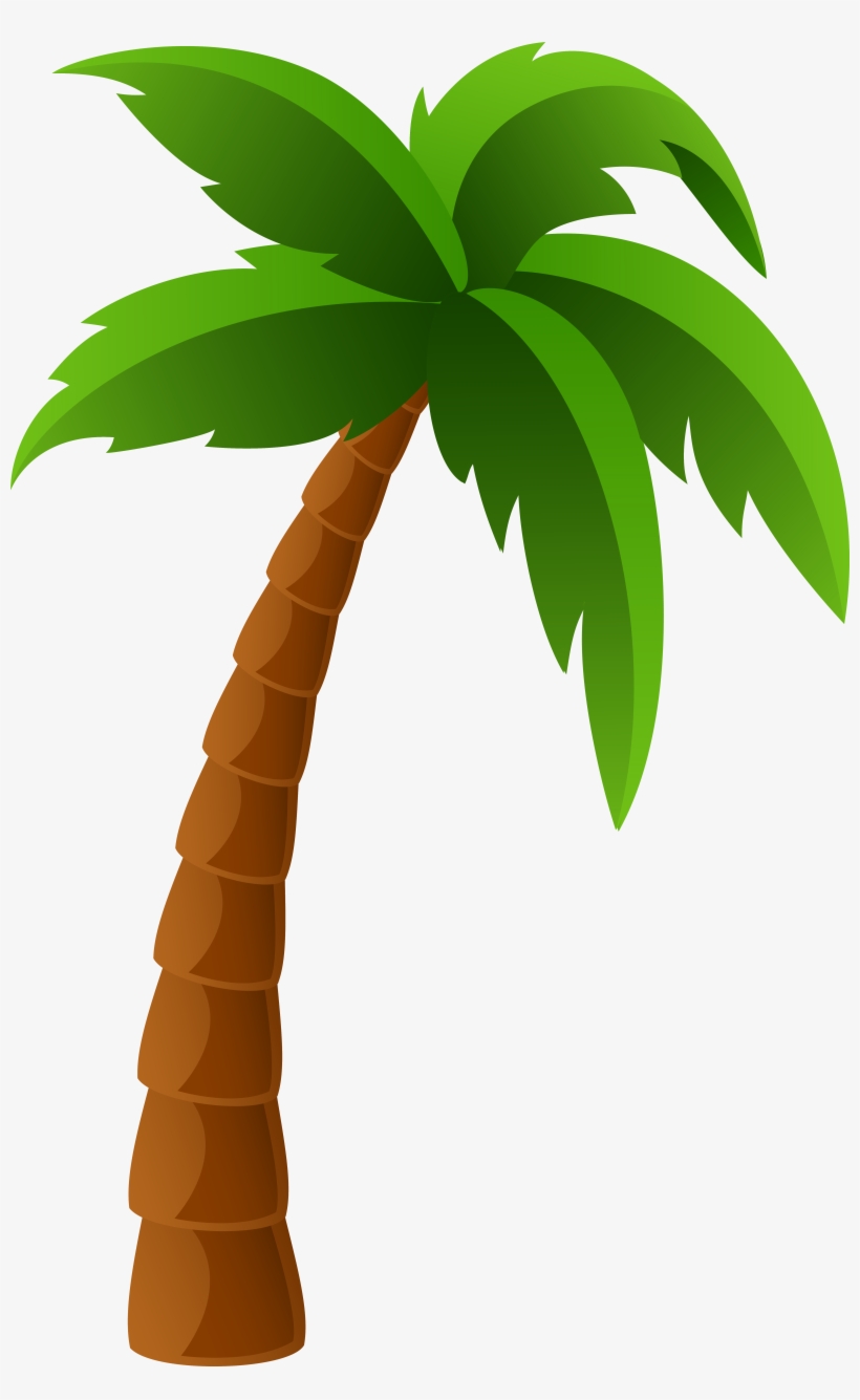 Palm Tree Png, transparent png download