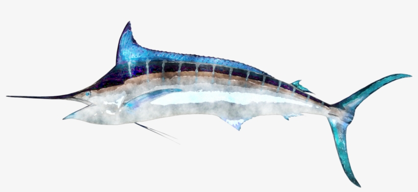 Watercolor Fish - Swordfish Png, transparent png download