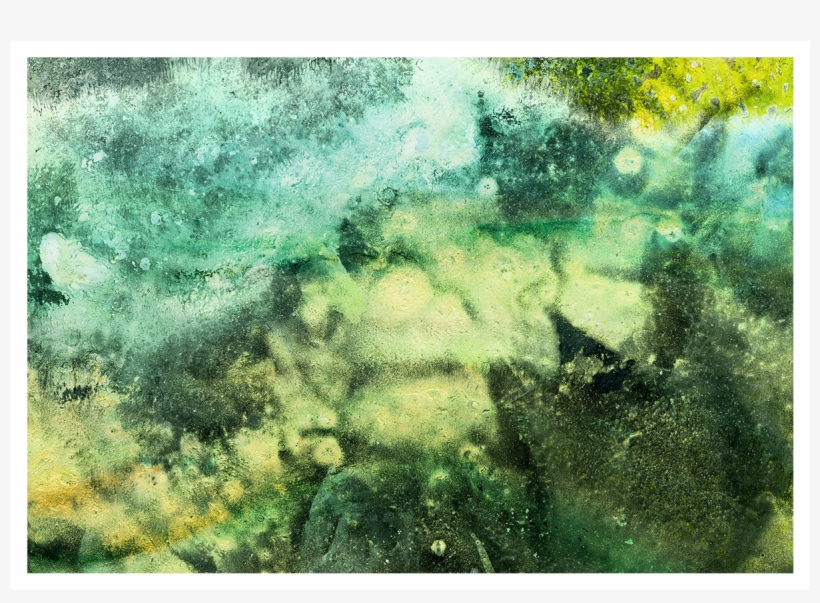 J - Bannon - Jacob Bannon, transparent png download