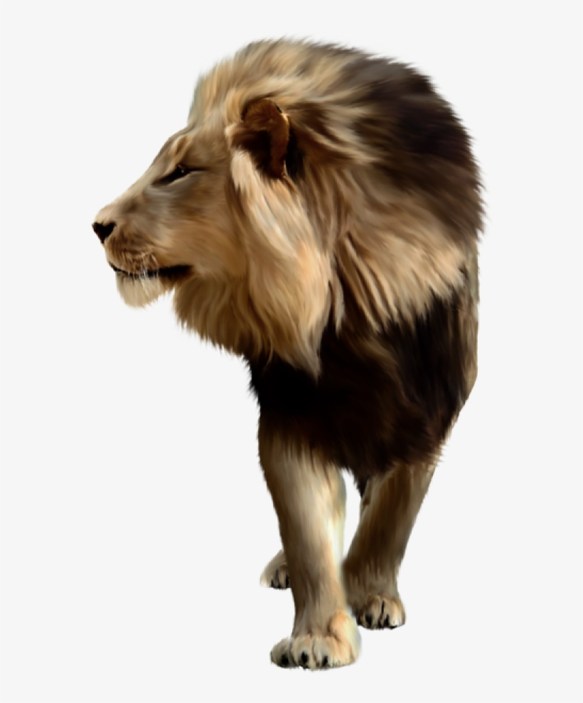 Lion Png Free Download - Lion Png For Picsart, transparent png download