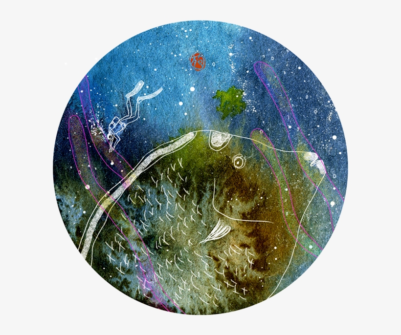 Dive, Watercolor And Digital Illustration - Christmas Tree, transparent png download