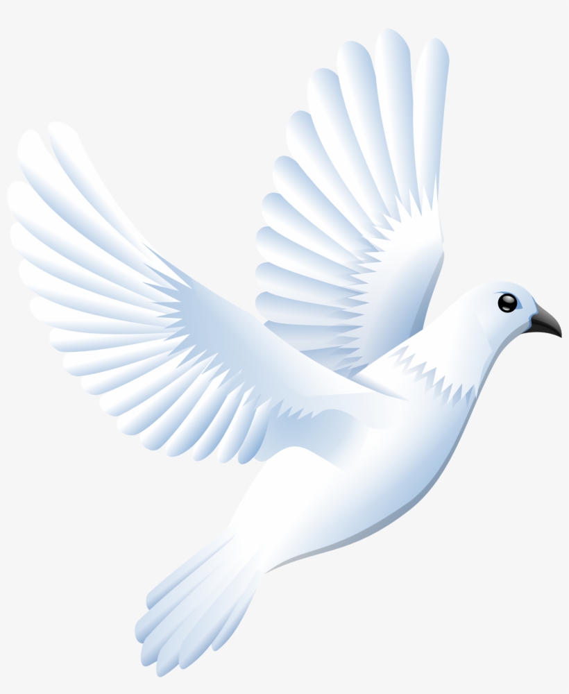 How To Set Use White Dove Clipart, transparent png download