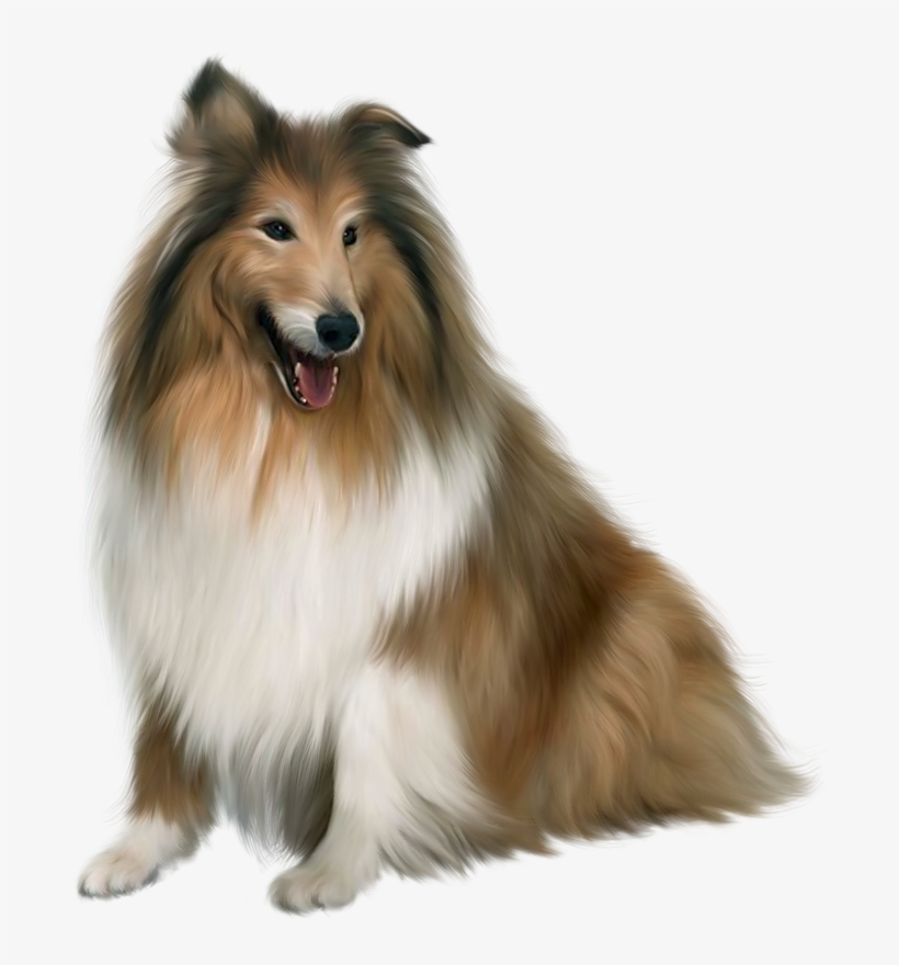 Dog Png Download Image - Dog Png, transparent png download