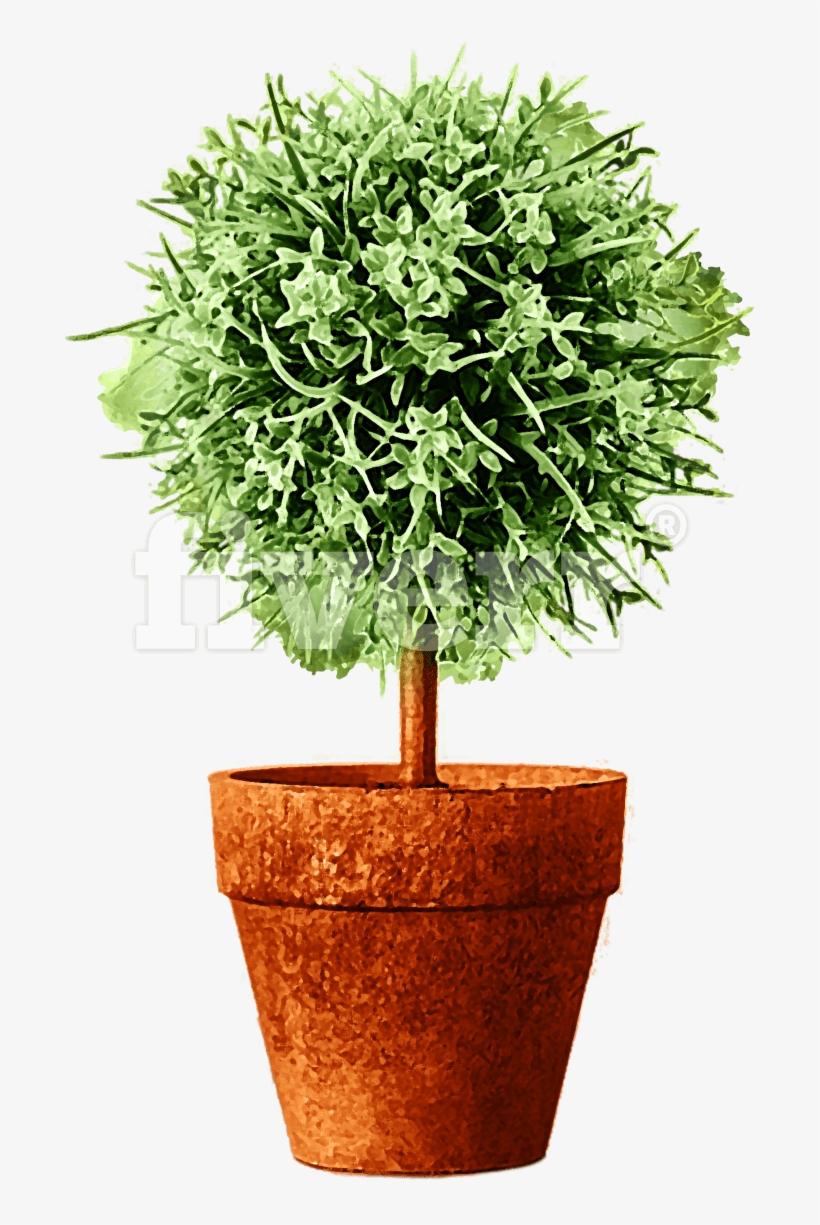 Flowerpot, transparent png download