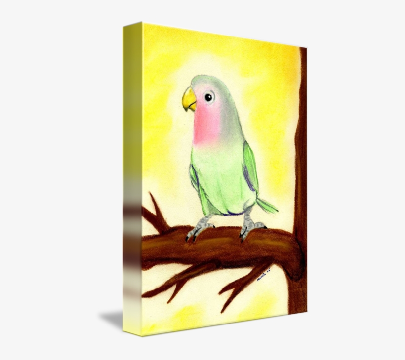 Lovebird Bird Portrait Art Print By Oldetimemercantile - Lovebird, transparent png download