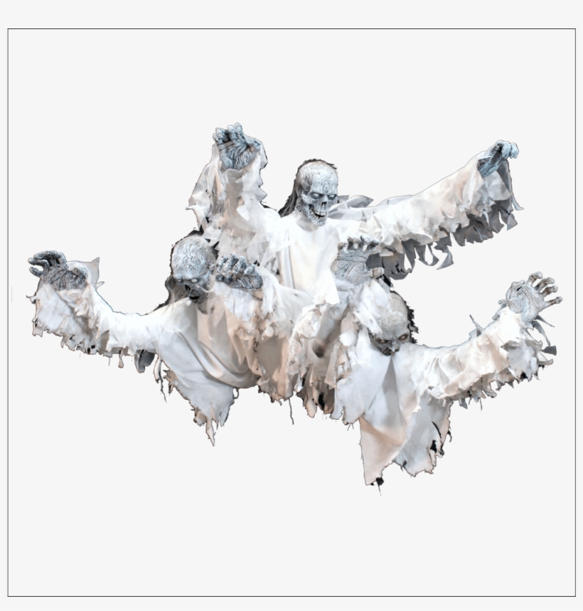 Still Life, transparent png download