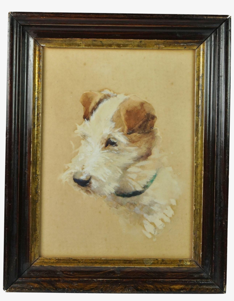 Antique Jack Russell Dog Watercolor Portrait Signed - Wire Hair Fox Terrier, transparent png download