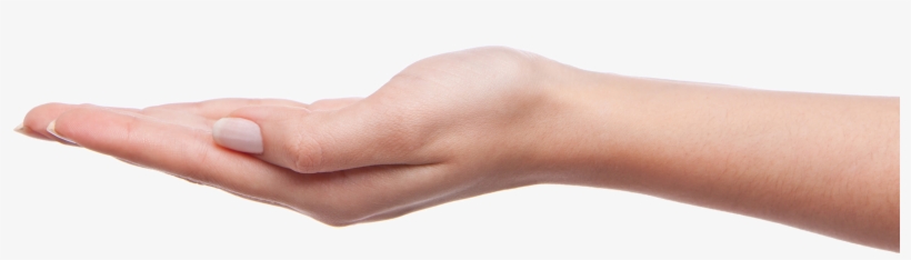 Best Free Hands Transparent Png Image, transparent png download