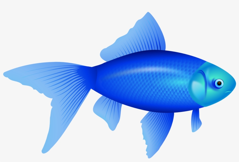 Blue Fish Png - Custom Blue Fish Shower Curtain, transparent png download