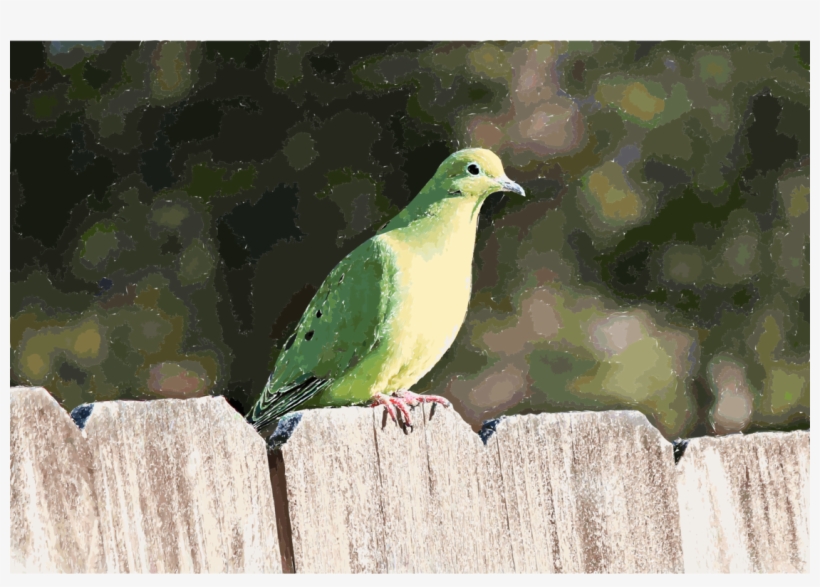 Computer Icons Fence Hummingbird Columbidae - Portable Network Graphics, transparent png download