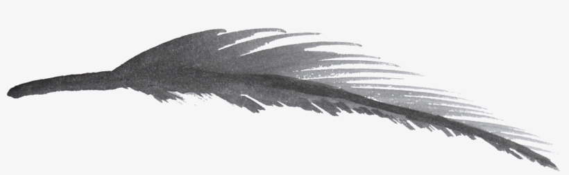 Free Download - Watercolor Feather Png, transparent png download