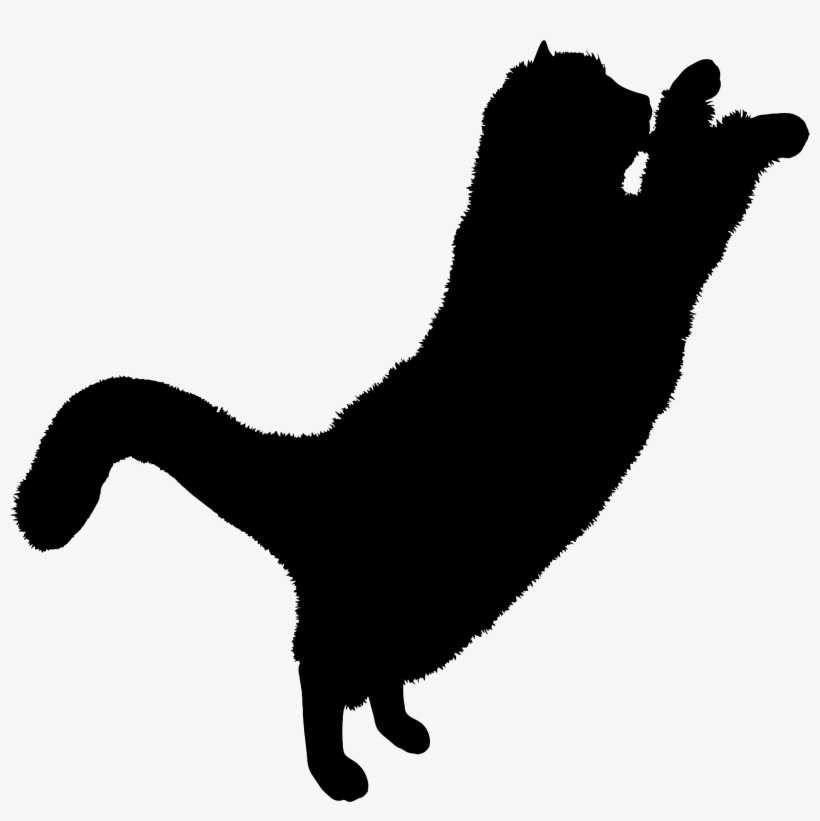 Cats Icon, transparent png download