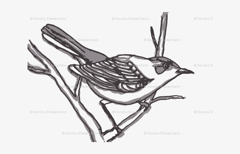 Watercolor Fabric - Watercolor Bird In Grays - Bird, transparent png download