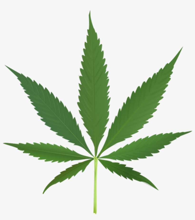 Visit - Cannabis Leaf, transparent png download