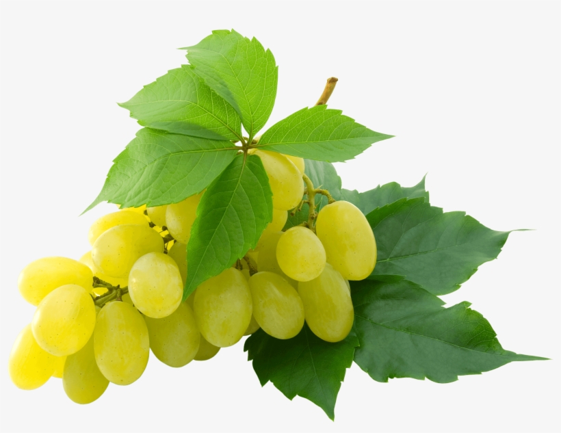 A Grape Is A Fruit, Botanically A Berry, Of The Deciduous - White Grapes Png, transparent png download