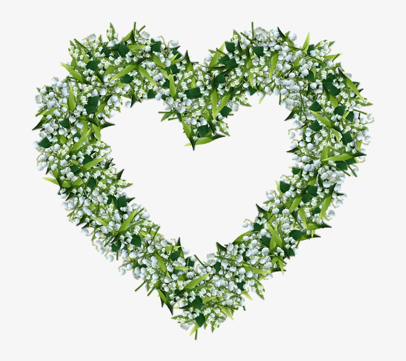 Lily Of The Valley Clipart Lillie - Heart, transparent png download