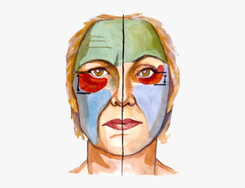 Viksraitis - Illustration, transparent png download